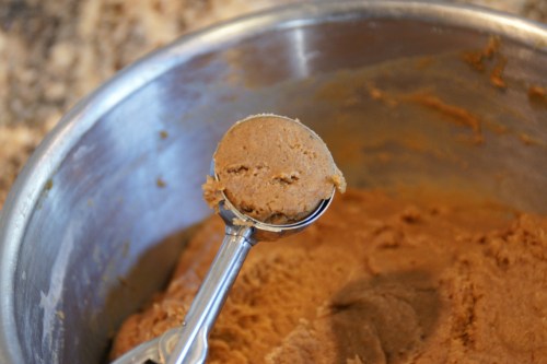 Scoop = same size cookies (or cupcakes or muffins).  Just do it!