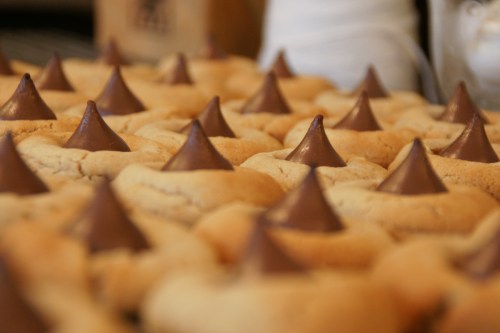 I don't get the appeal...