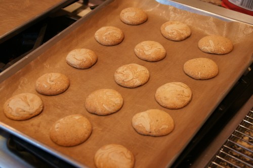 My flattened mushroom caps :-)