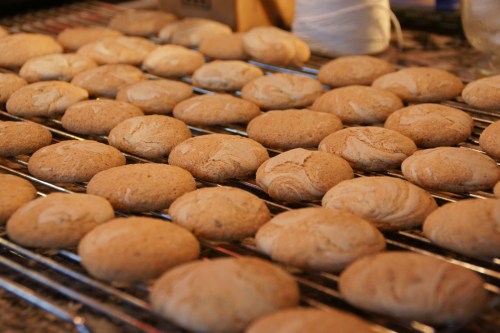 They look like shitake!  