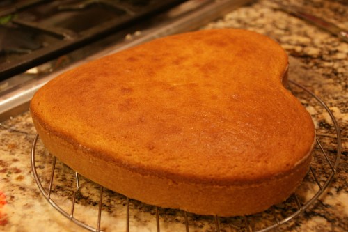 Let cake rest til completely cool.