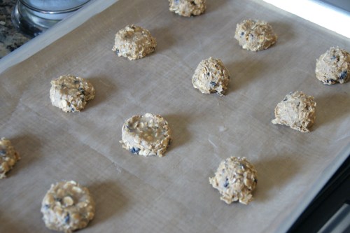 I use a spring-loaded scoop