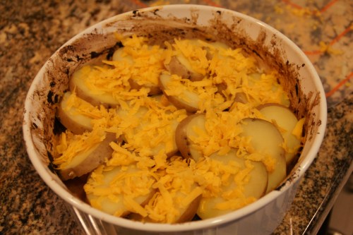 Next time, I'll go heavier on the cheese!