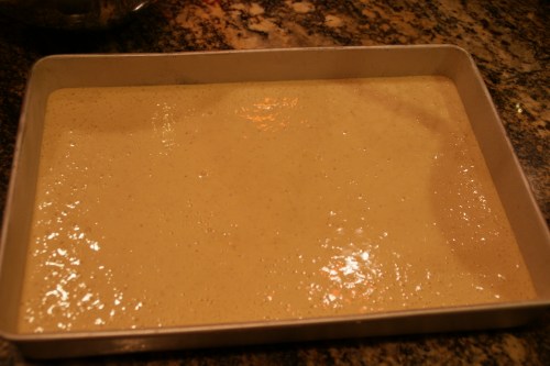 I'm even more skeptical about the batter once it's in the pan!