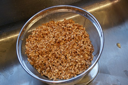 As with dried beans, check for bits of grit, stone, etc.