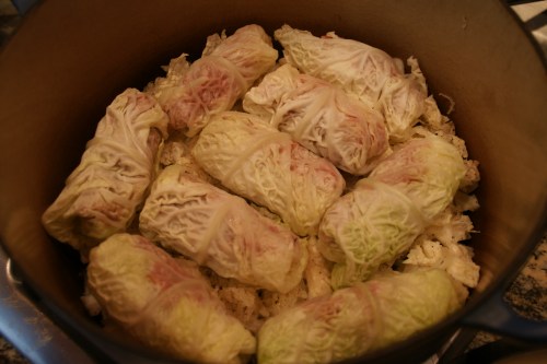 I like the textured look of the Savoy leaves!