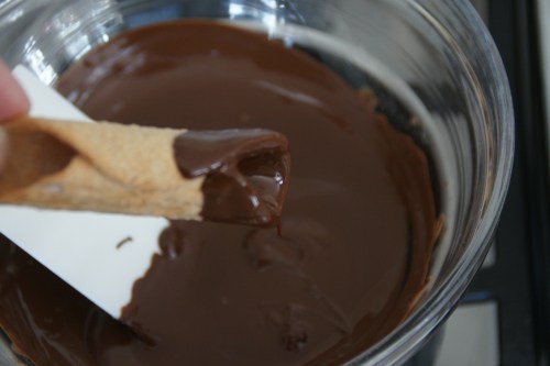 Oooh, that chocolate crunch against the creamy fillling...so good!