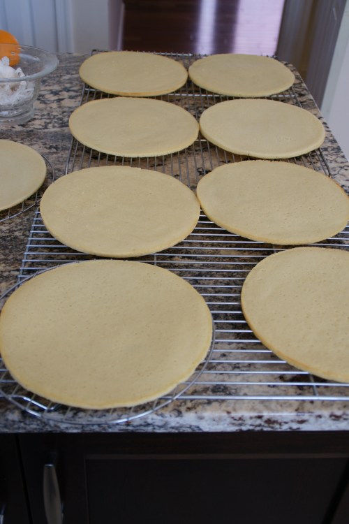 NINE layers waiting to be frosted!