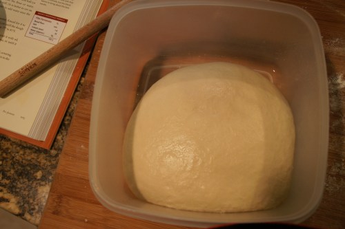 The bowl/container needs to be oiled and the dough should be rolled around so its surface is oiled!