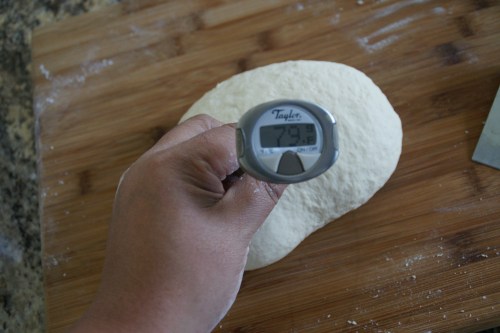 Internal temp between 77 and 81 degrees F