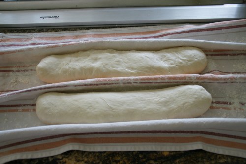 These are ready for their final rise