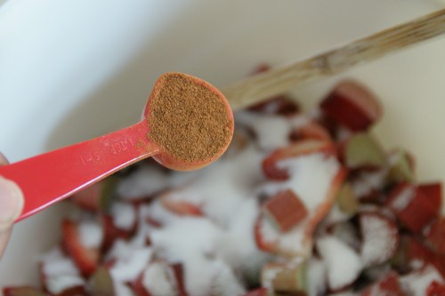 Some sugar and cinnamon-- how simple, yet delicious!