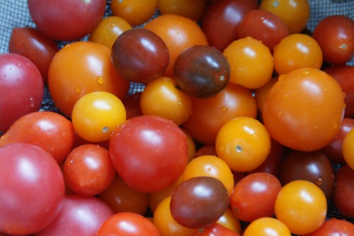 So much color and flavor!