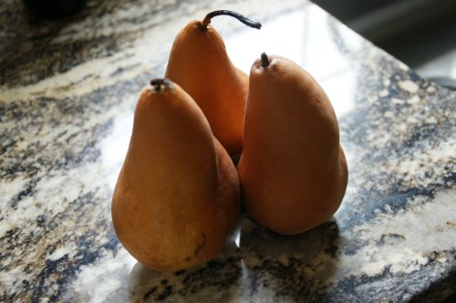 Bosc pears