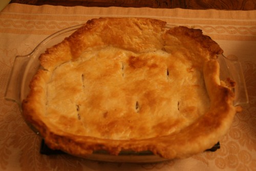 Crisp, flaky crust over a creamy chicken stew!