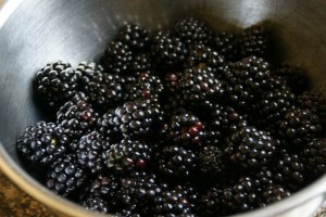 These were so good that I had to leave a few out for my mom to enjoy!