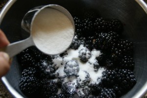 I added a little less than a half cup because the berries were really sweet.